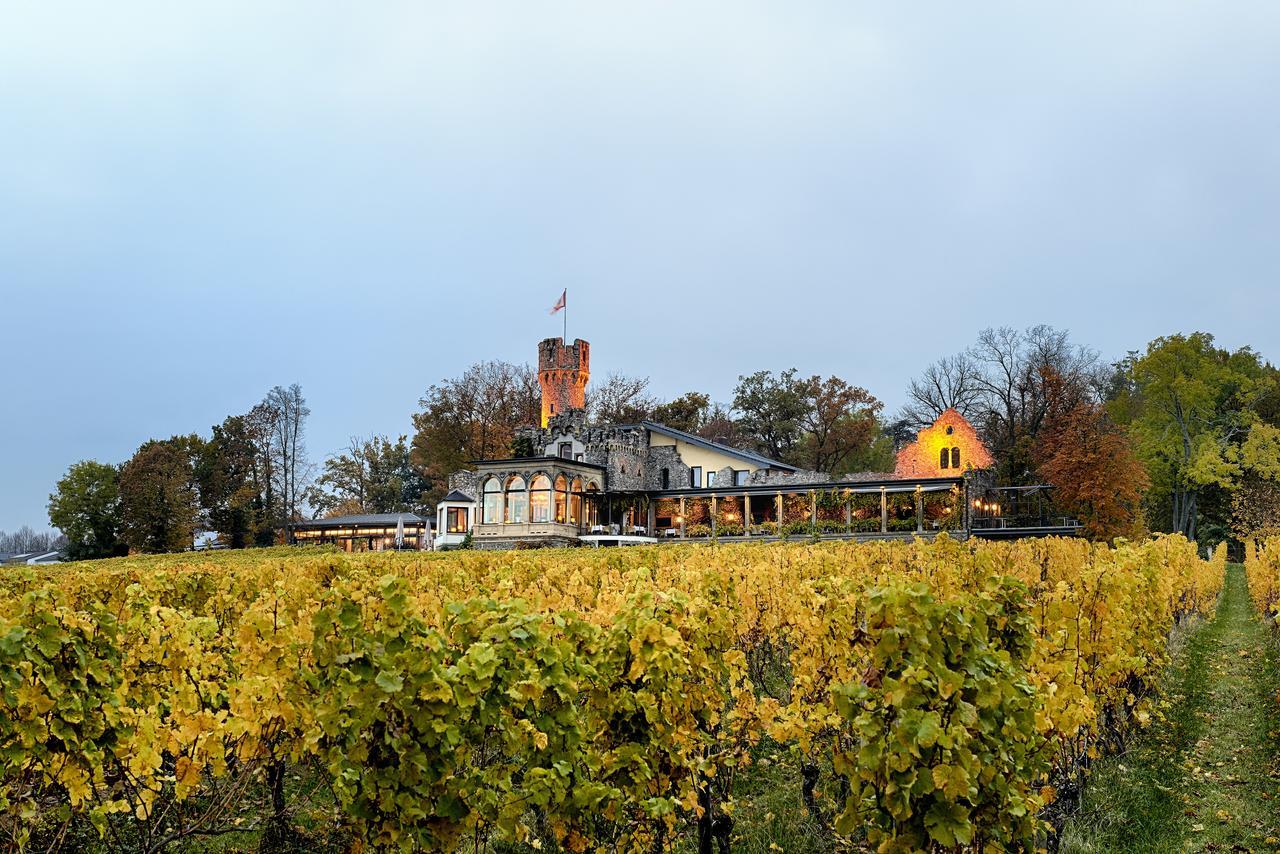 Relais & Chateaux Hotel Burg Schwarzenstein Geisenheim Exterior photo